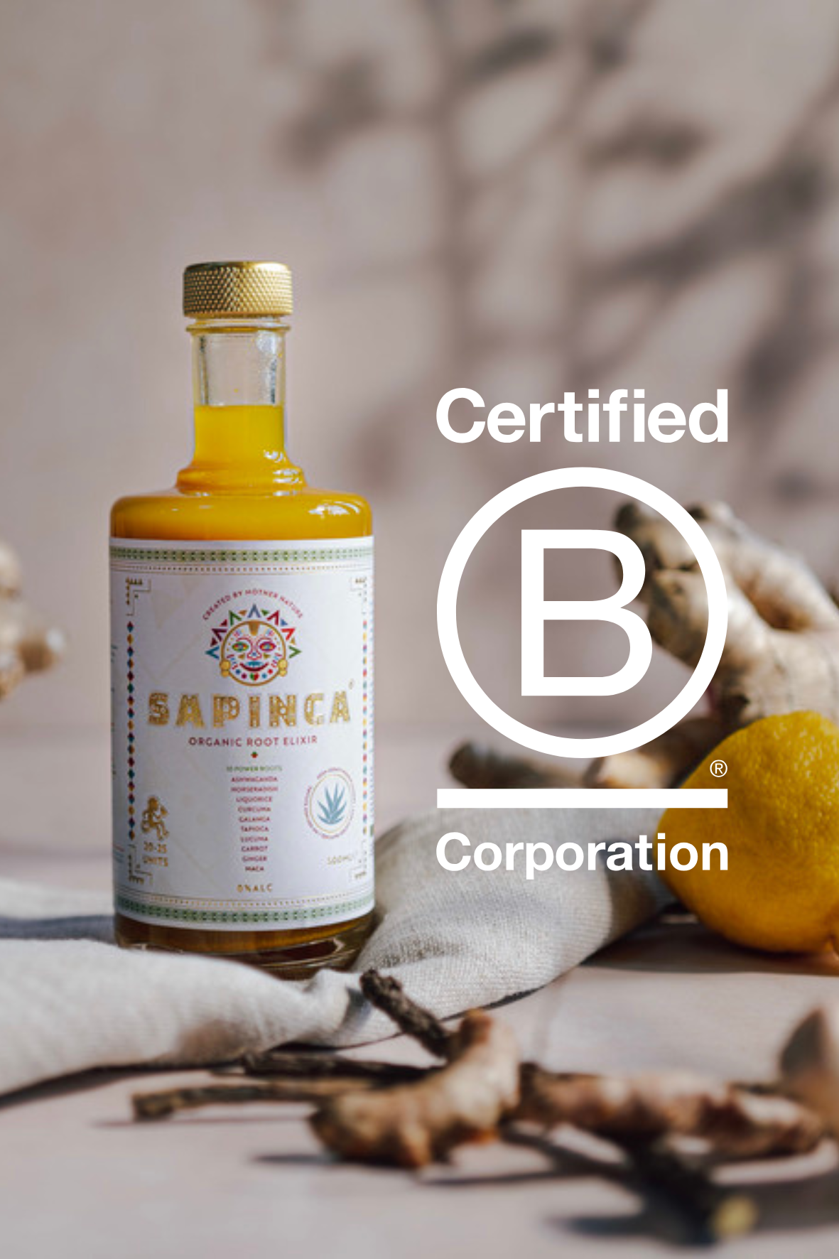Sapinca B-corp