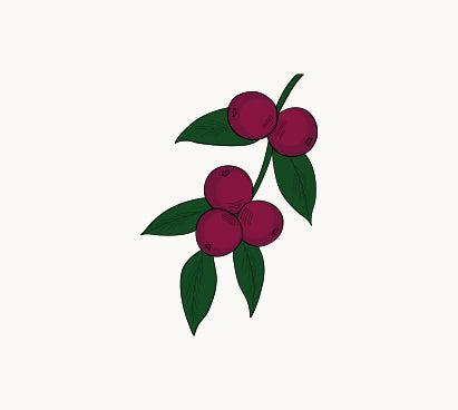 Organic Camu Camu