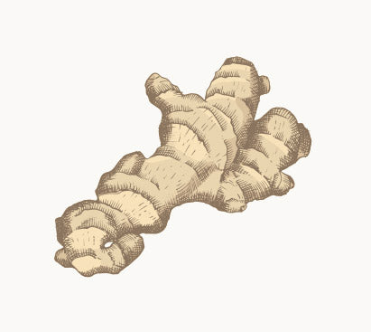 Organic Ginger