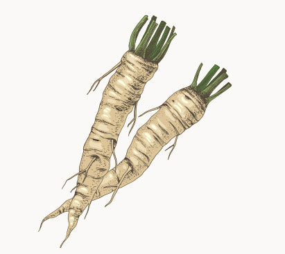 Organic Horseradish