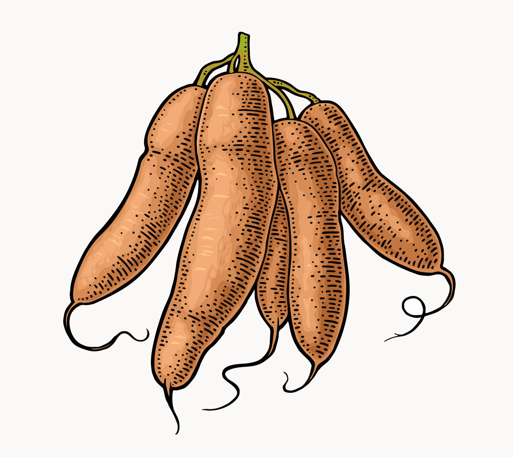 Organic Tapioca