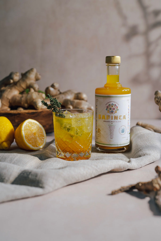 SAPINCA - Organic Root Elixir - Sparkling Soda