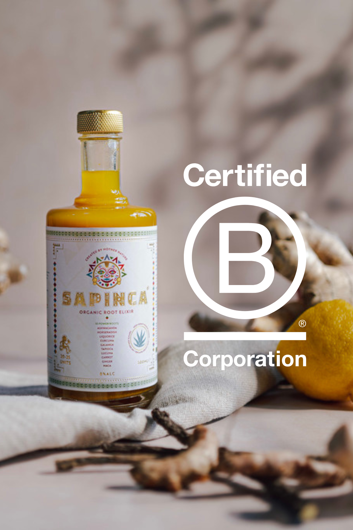 A New Year, A New Chapter: SAPINCA is B-Corp Certified!